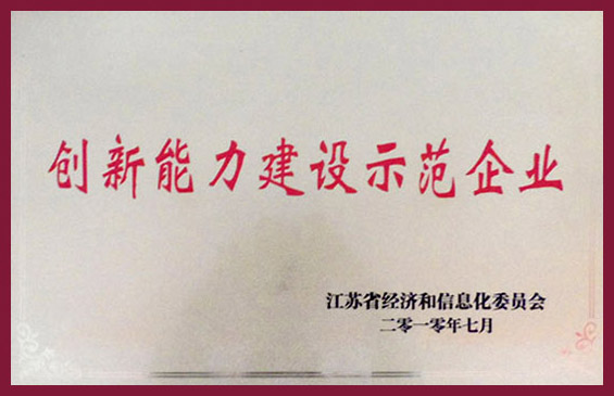 创新能力建设示范企业